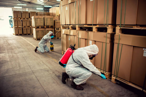 Best Wasp Removal Services  in Menifee, CA