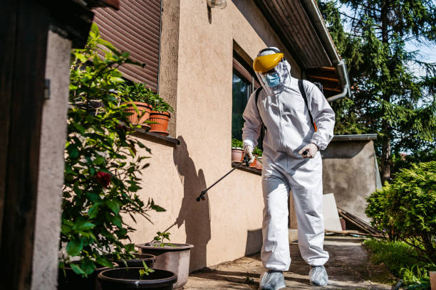 Trusted Menifee, CA Pest Control Experts