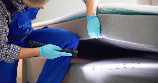 Pest Prevention Services in Menifee, CA