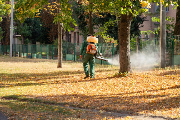 Best Pest Removal Services  in Menifee, CA