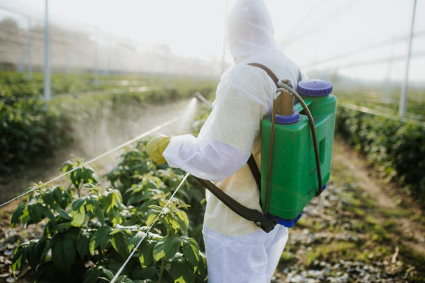 Best Pest Prevention Services  in Menifee, CA